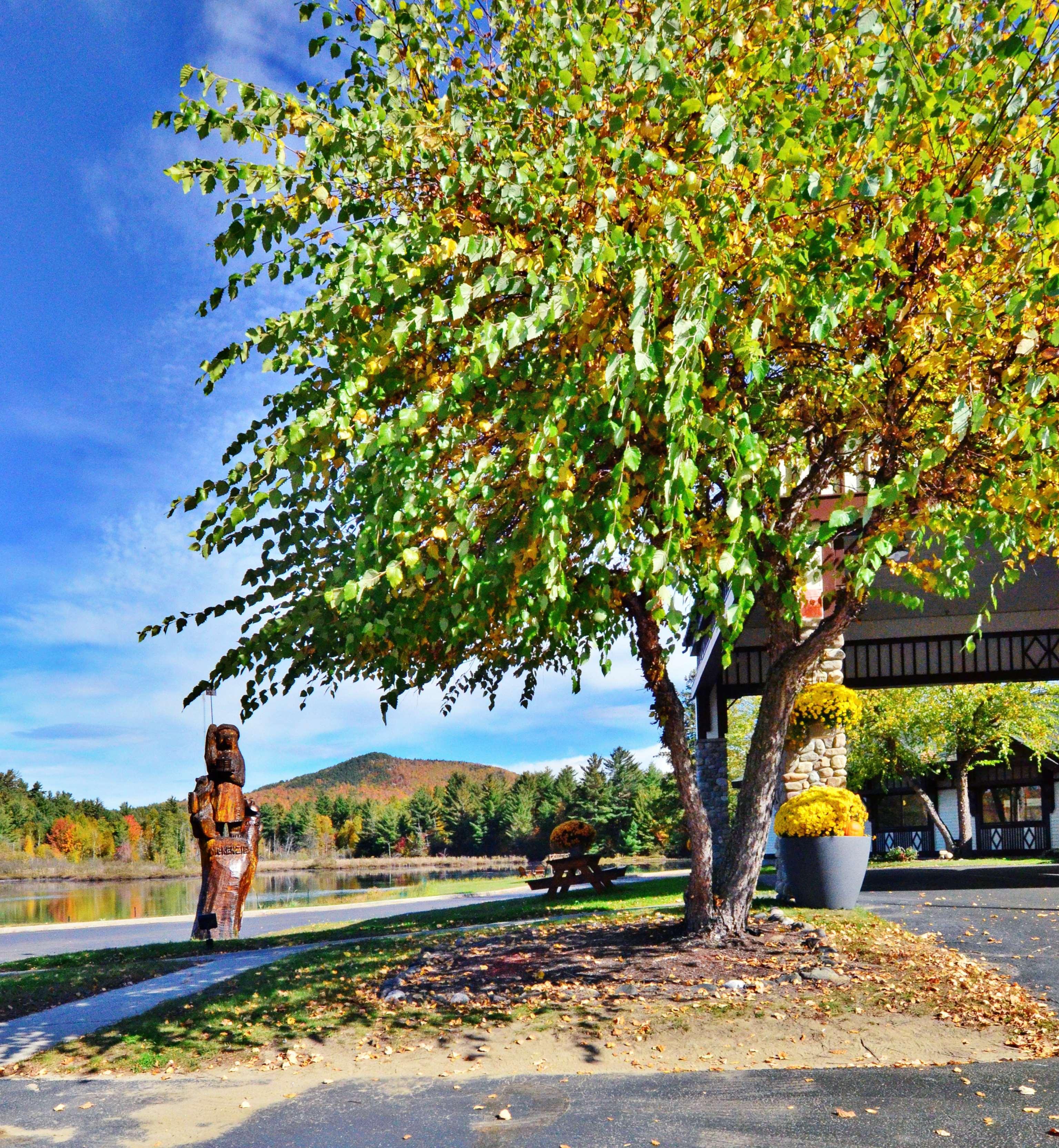 Best Western Saranac Lake Hotel Bagian luar foto